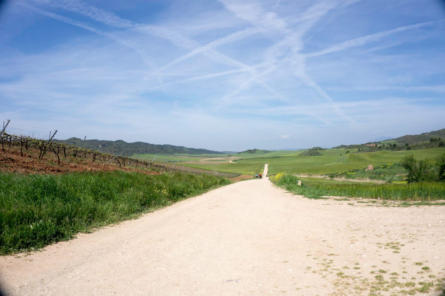 camino-de-santiago