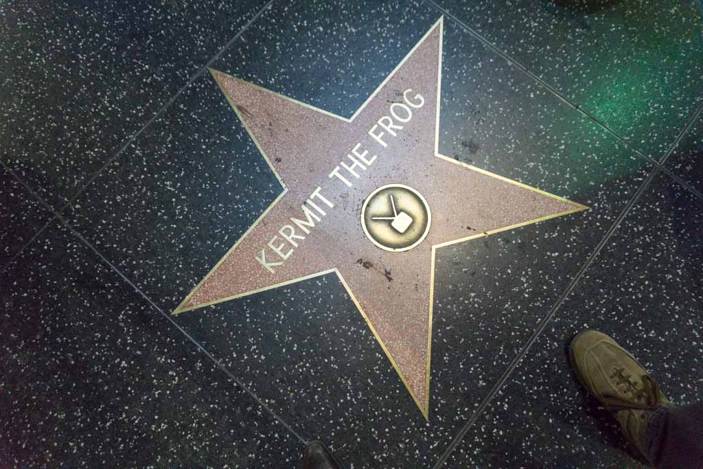 hollywood walk of fame kermit