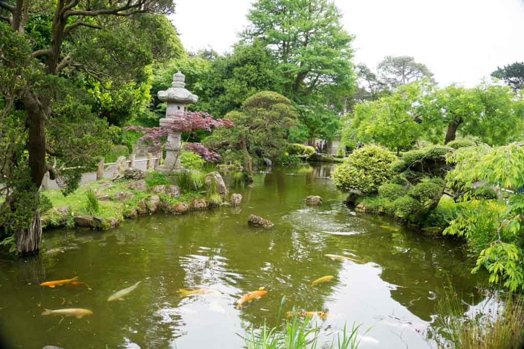 golden gate park