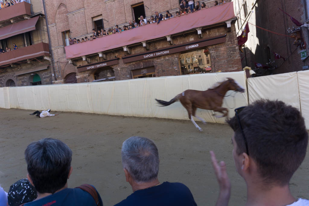 Palio di Siena simulazione