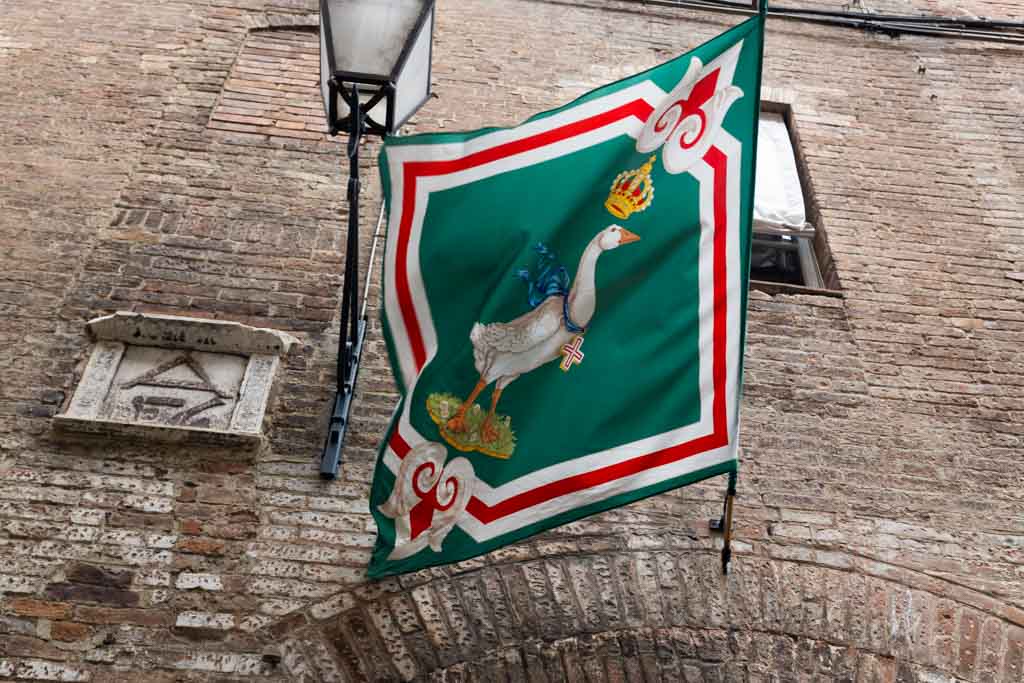 Palio di Siena contrada dell'oca