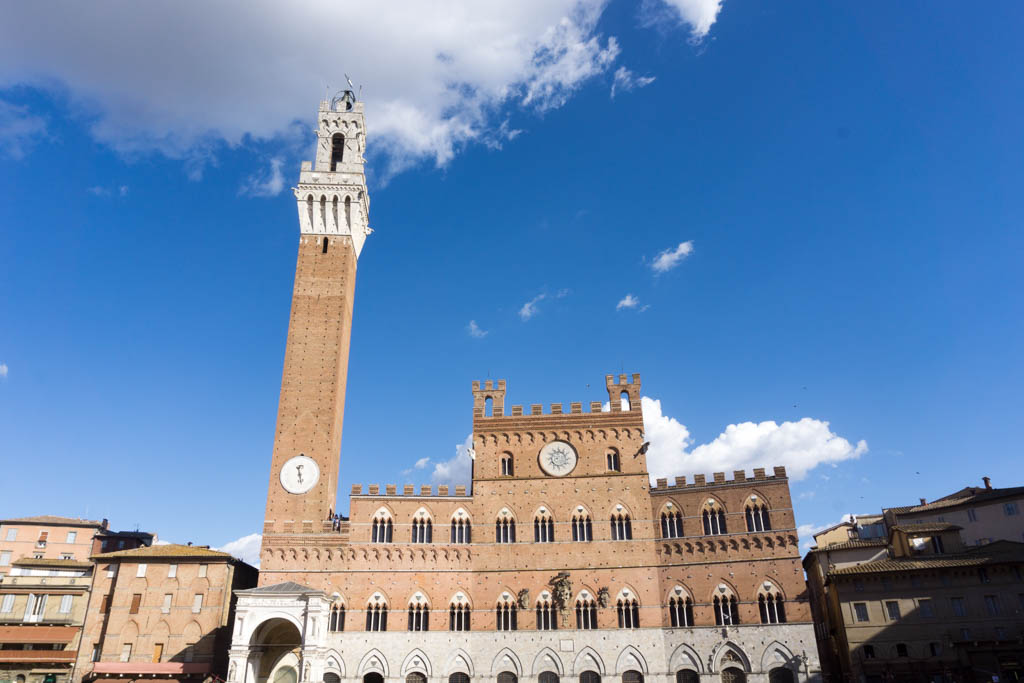 Palio di Siena piazza del campo