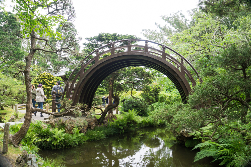 japanese tea garden golden gate park