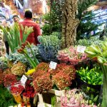 mercato dei fiori amsterdam