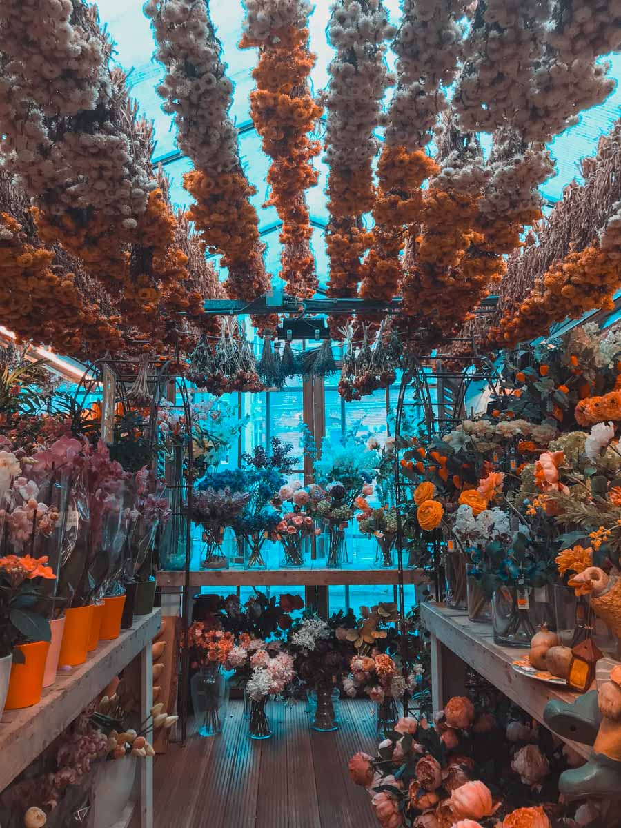 AMSTERDAM mercato dei fiori-2