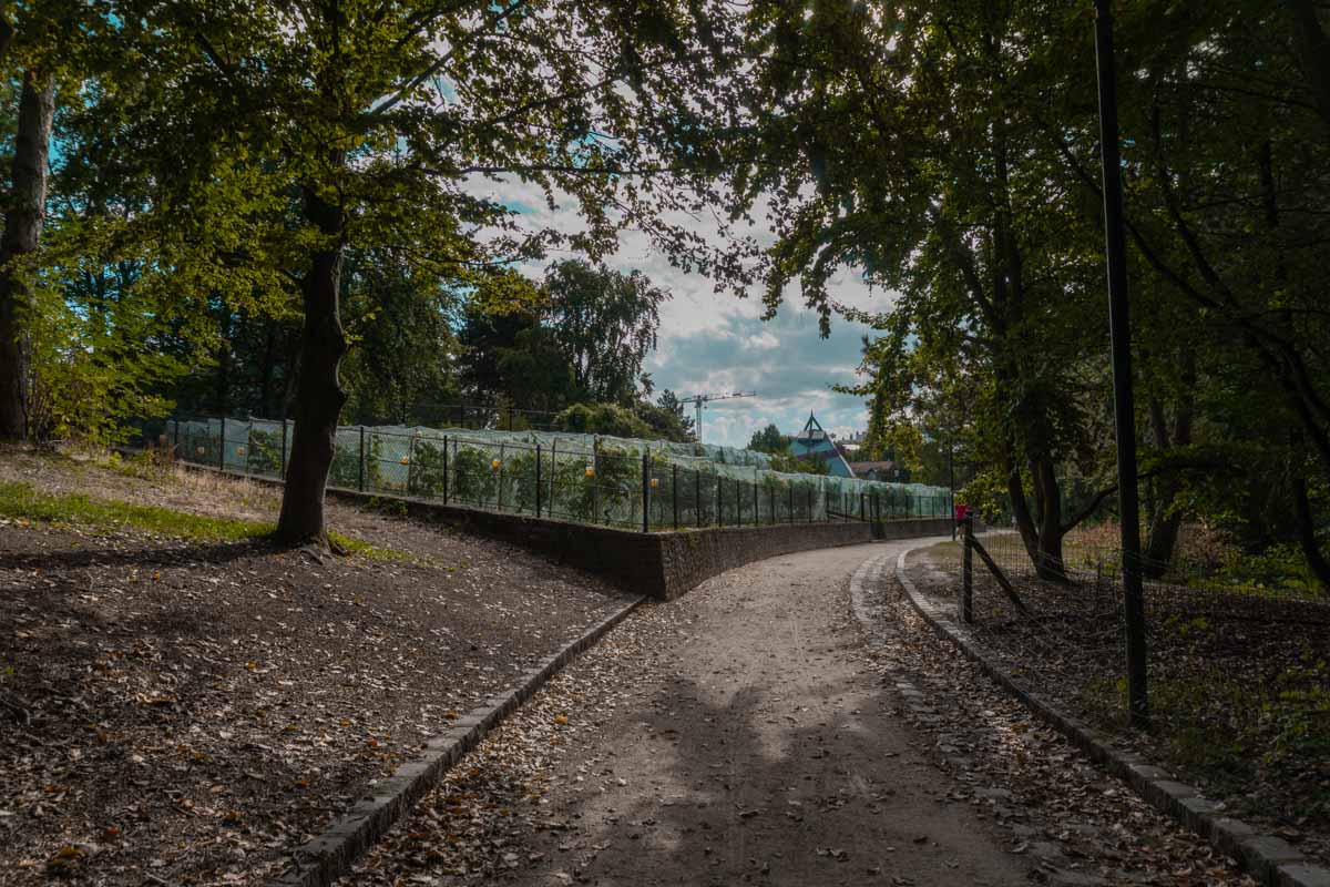 parc georges brassens