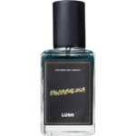 perfume-library-lush-fantabulosa