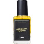 perfume-library-lush-hairdressers_husband