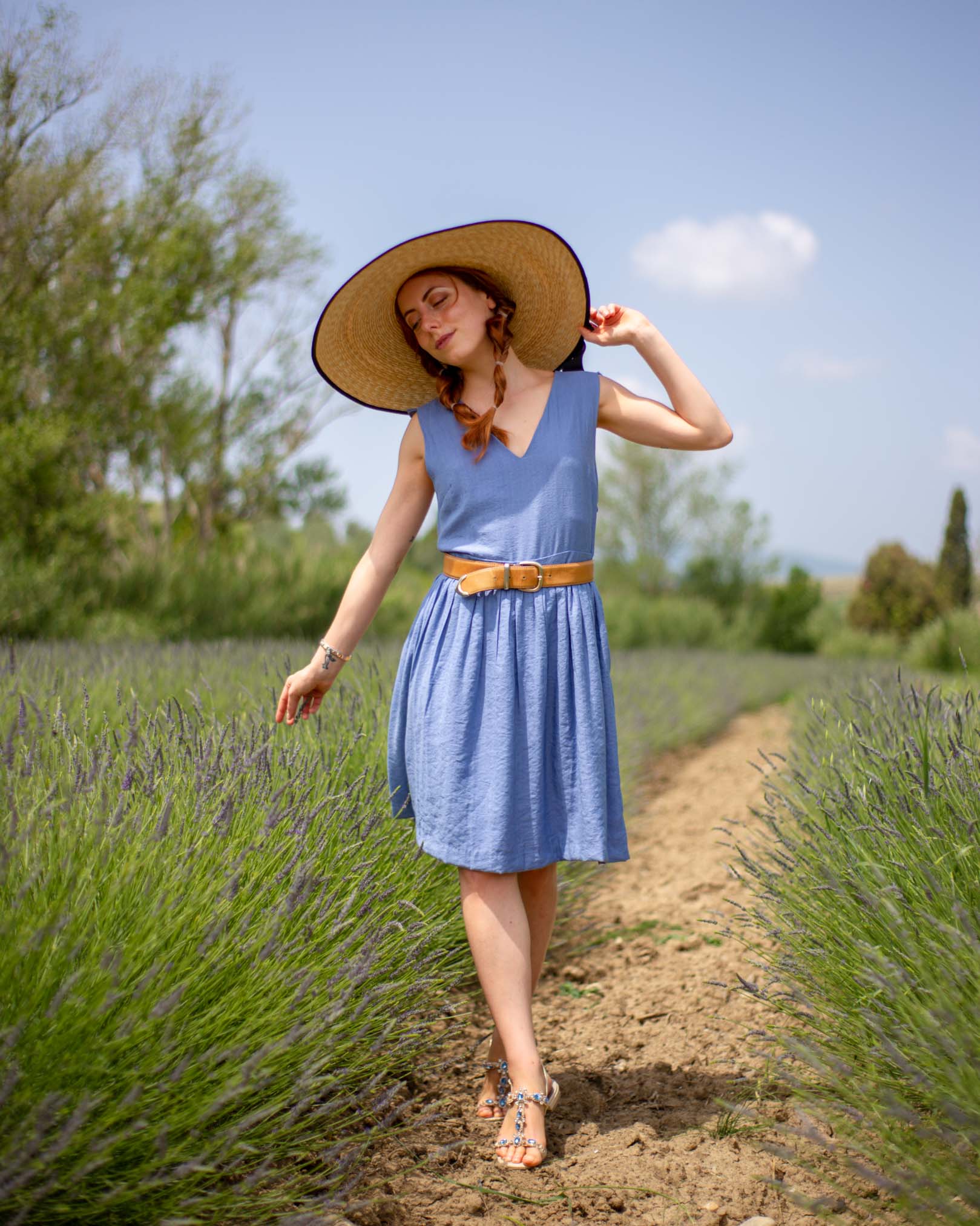 lavanda festival