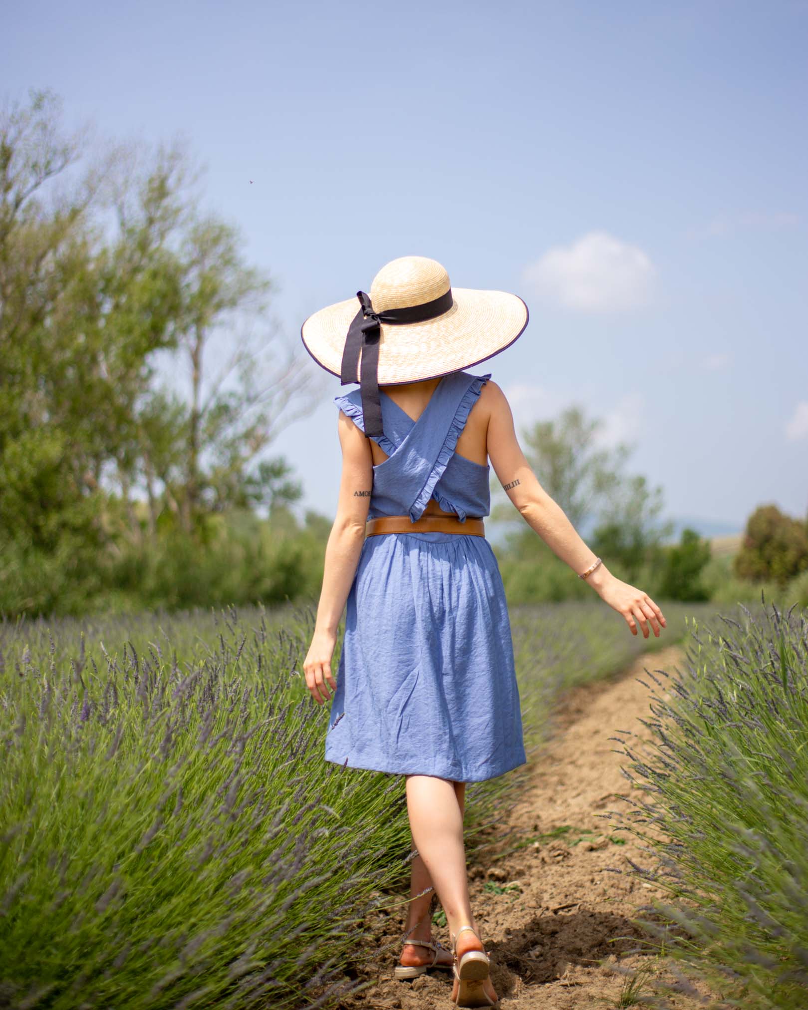 lavanda festival pieve santa luce