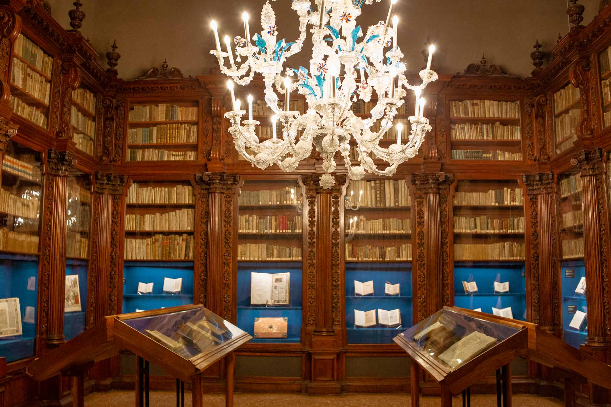 biblioteca del museo correr