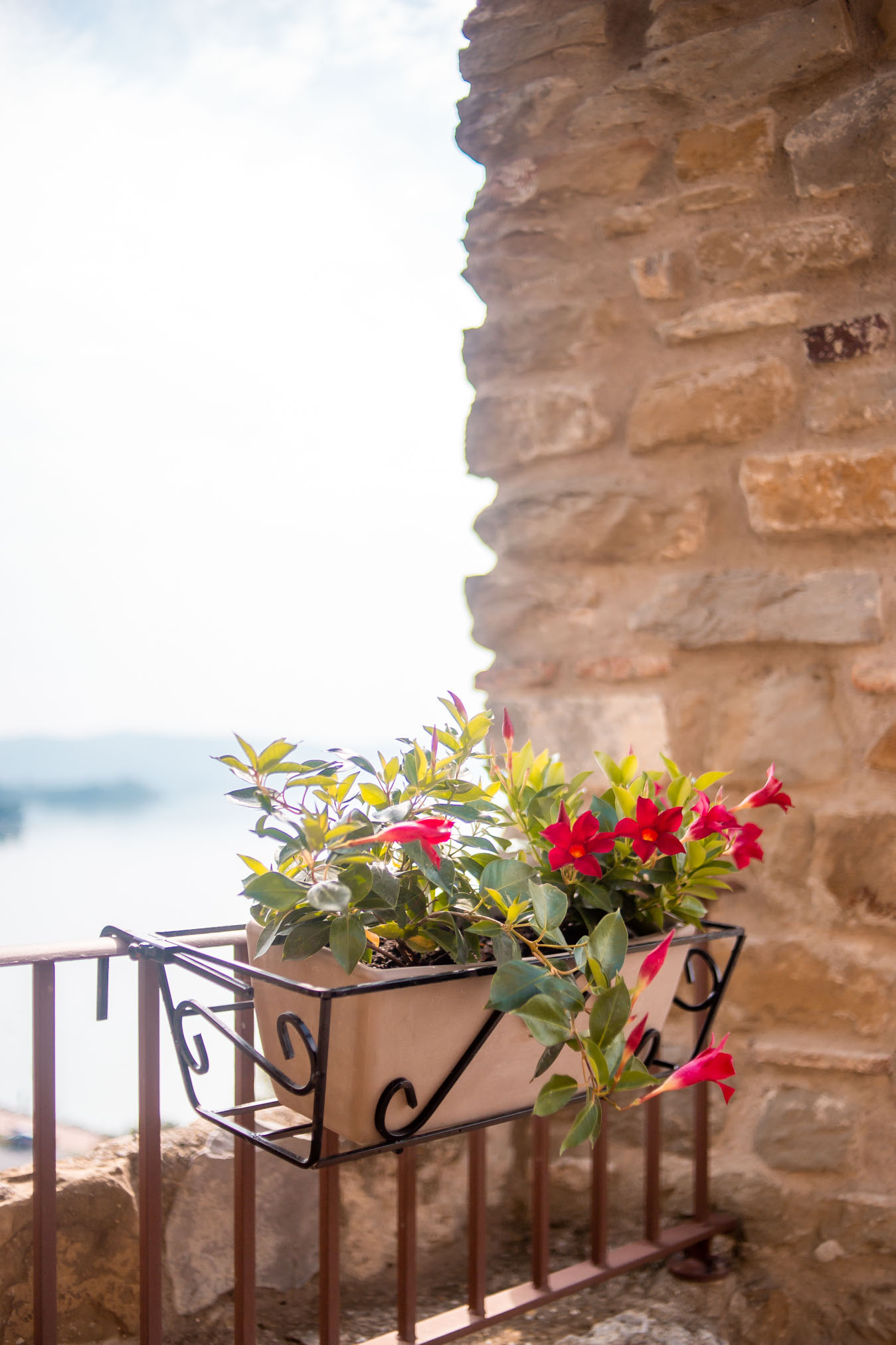 fiori sul balcone della torre di passignano