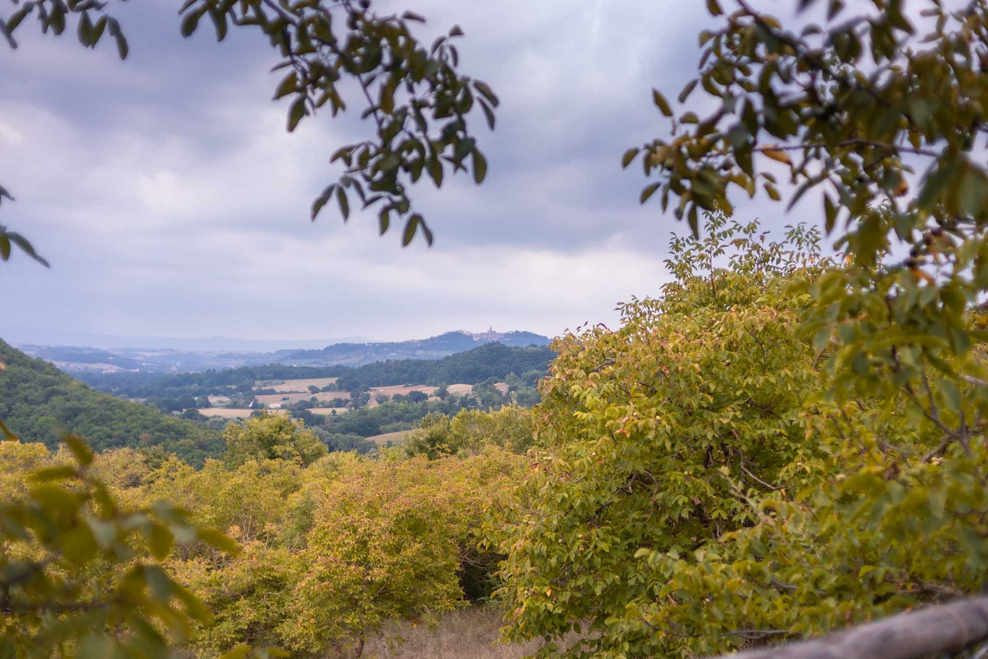 vista dalla casetta sull'albero prima della cena