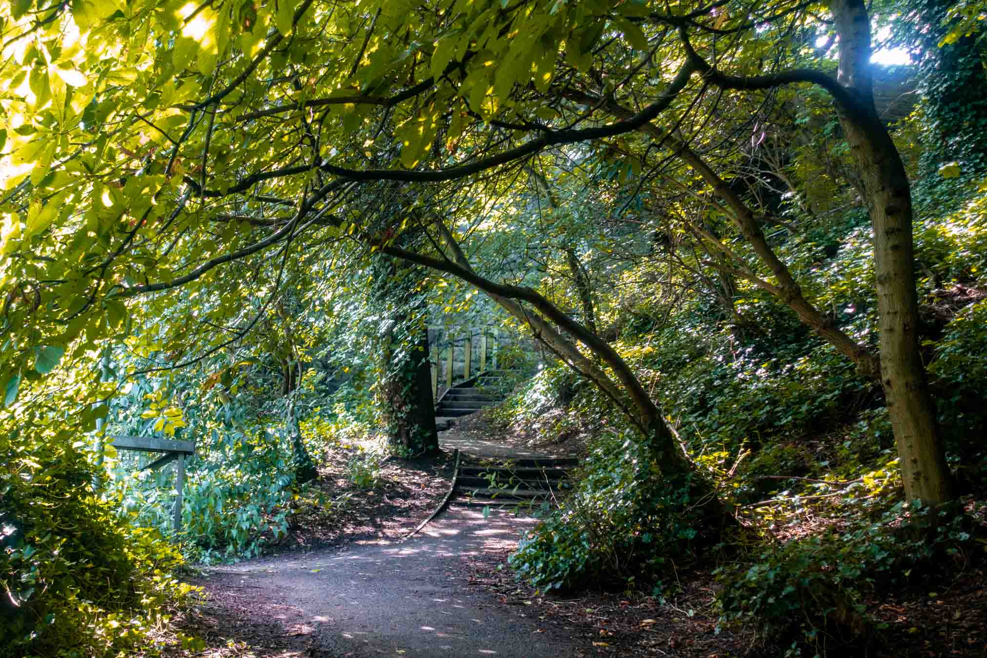 sentiero nel verde dove passeggiare a edimburgo, dean village