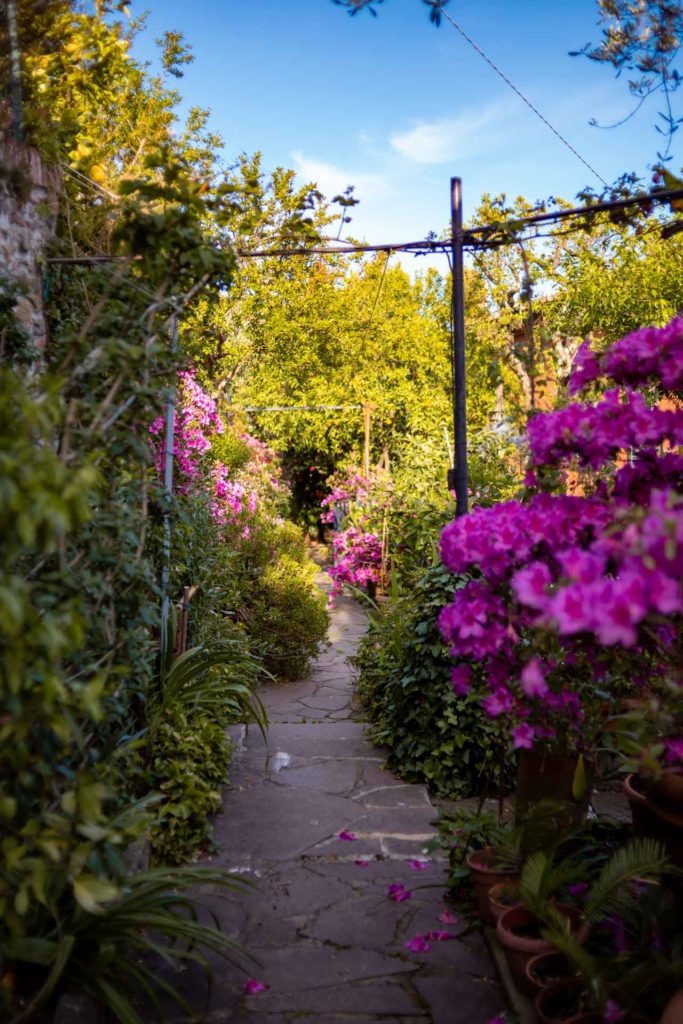 giardino pieno di azalee e fiori