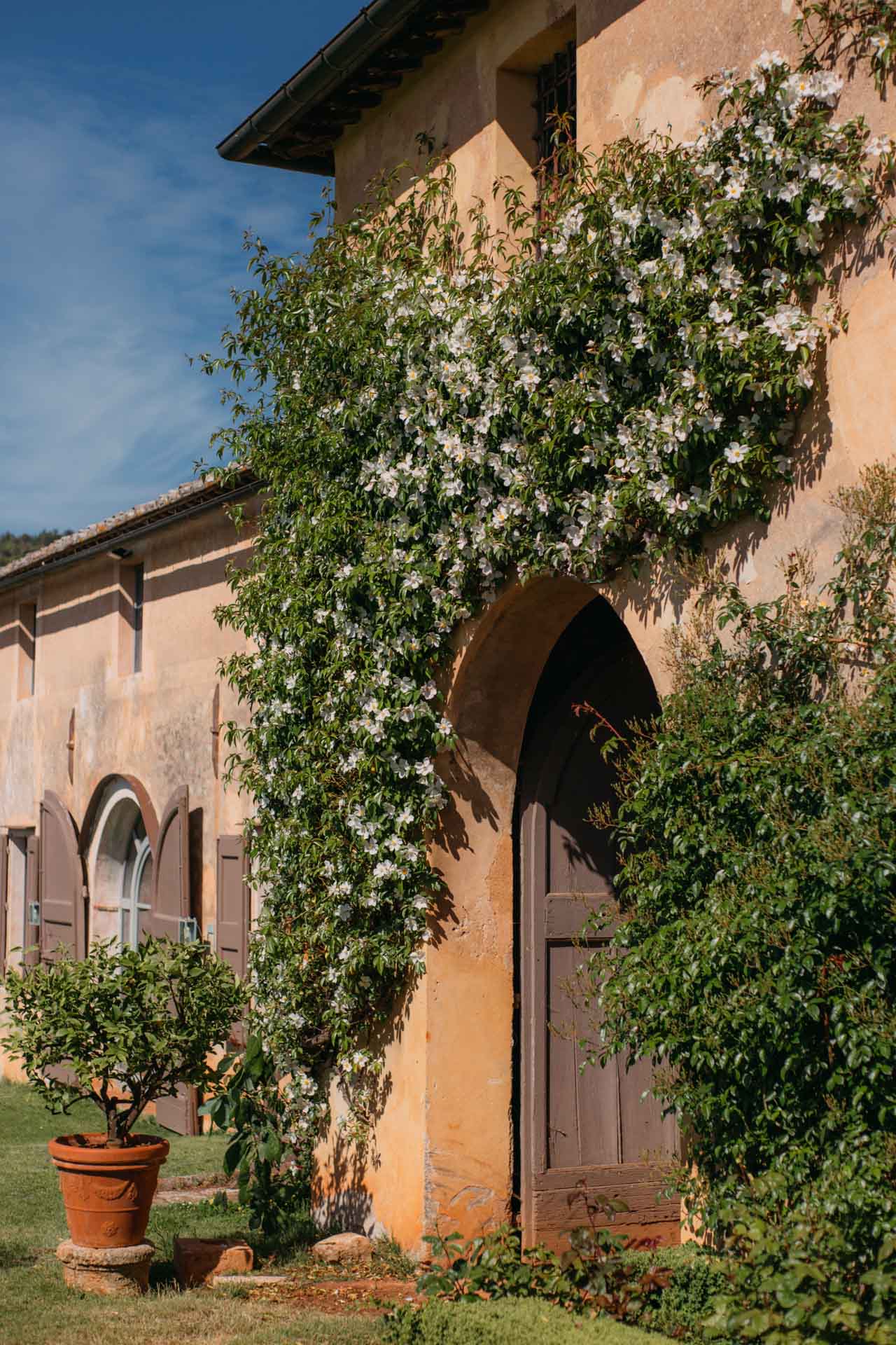 limonaia castello di celsa